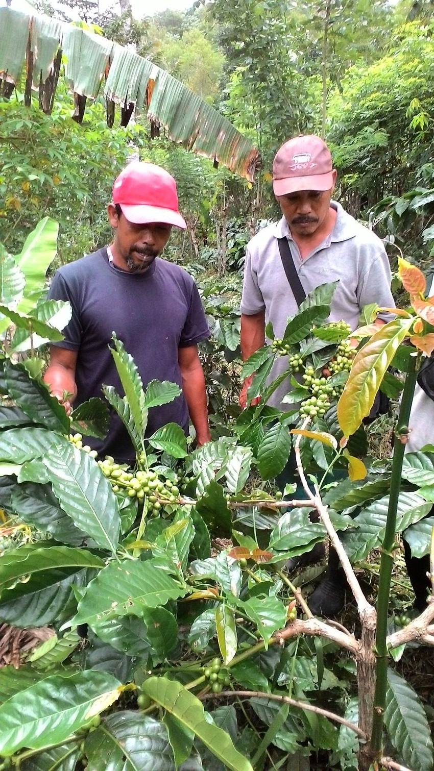 Wana Lestari community documentation photo 2